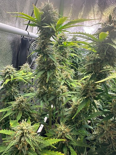 Growreport Bild 23