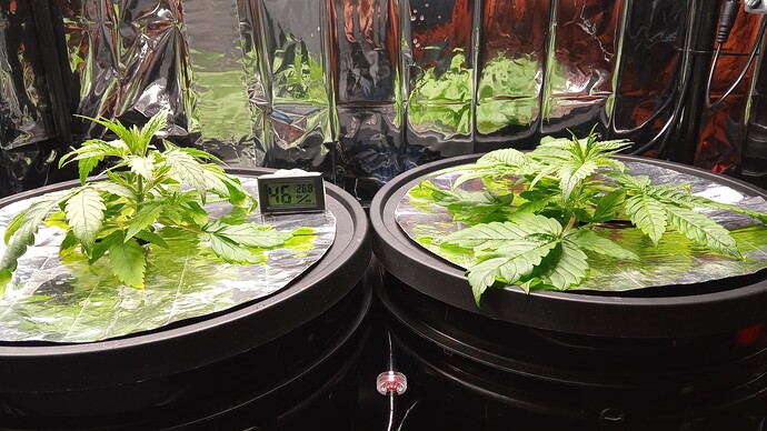 Growreport Bild 11