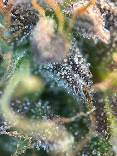 Growreport Bild 10