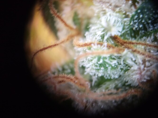 Growreport Bild 9