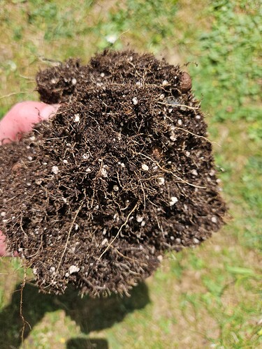 Growreport Bild 11