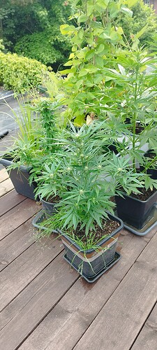 Growreport Bild 10