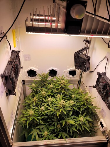 Growreport Bild 2