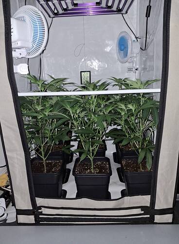 Growreport Bild 44