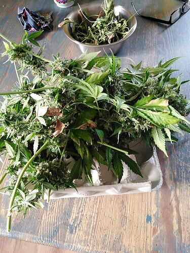 Growreport Bild 9