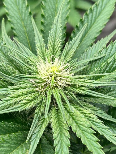 Growreport Bild 18