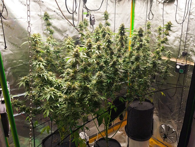 Growreport Bild 1