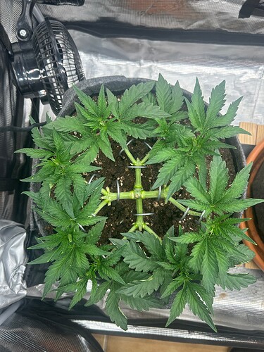Growreport Bild 18