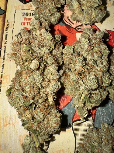 Growreport Bild 55