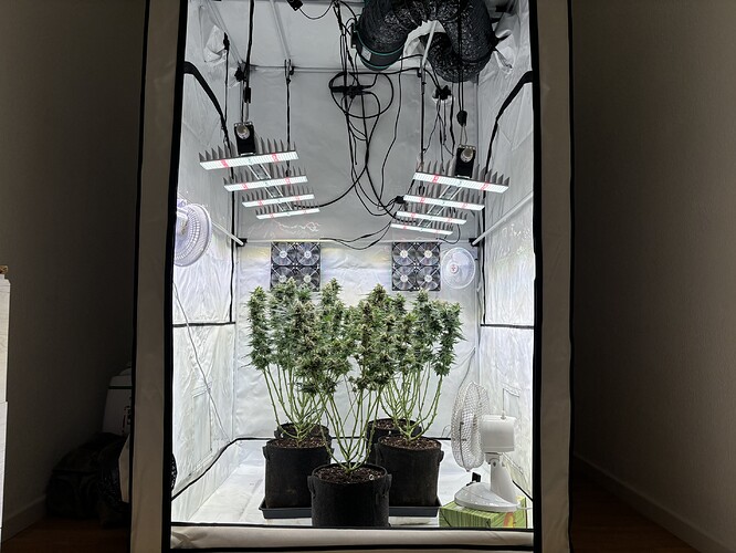 Growreport Bild 3
