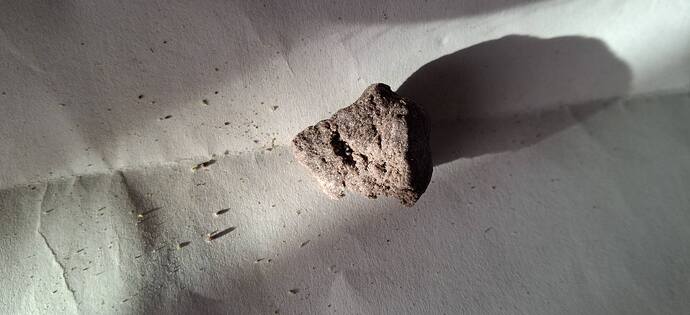 Growreport Bild 24