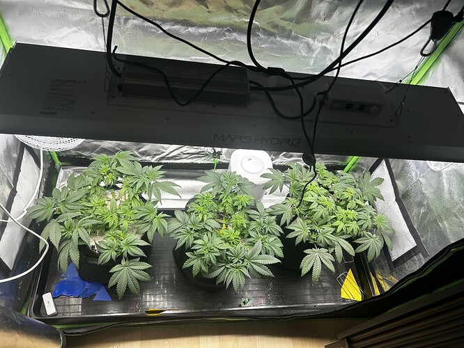 Growreport Bild 13