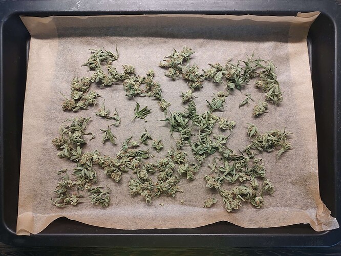 Growreport Bild 12