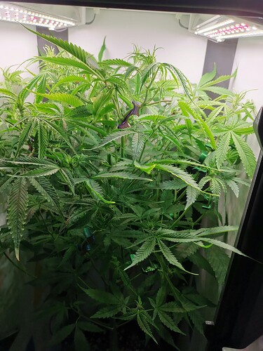 Growreport Bild 15