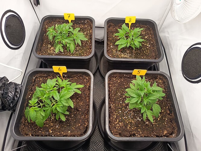 Growreport Bild 8