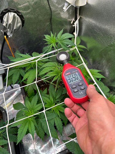 Growreport Bild 71