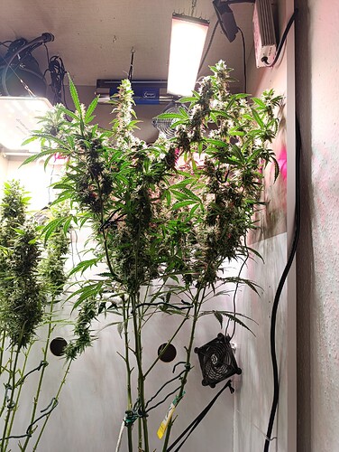 Growreport Bild 18