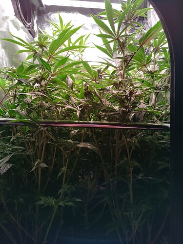 Growreport Bild 2