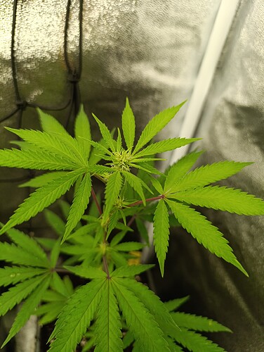 Growreport Bild 11