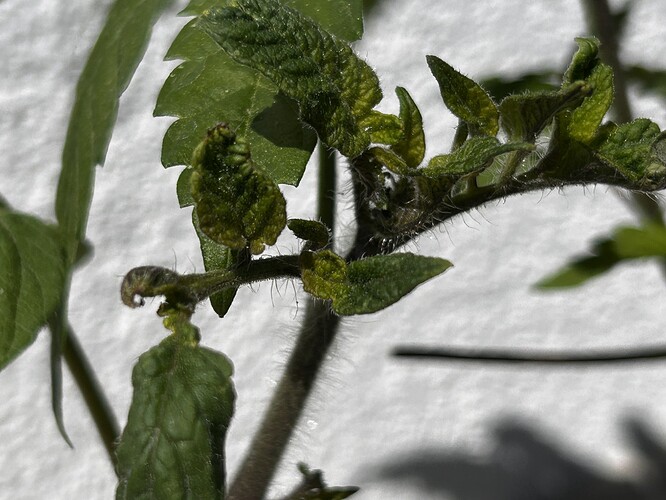 Growreport Bild 13
