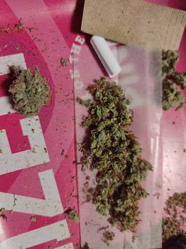 Growreport Bild 60