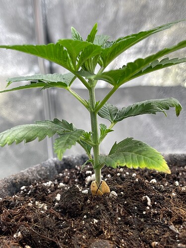 Growreport Bild 16
