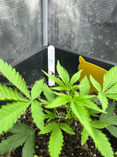 Growreport Bild 10