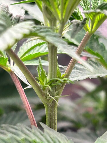 Growreport Bild 9