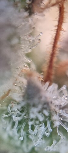 20250116_134226