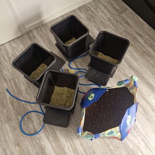 Growreport Bild 5