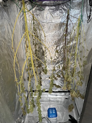 Growreport Bild 3