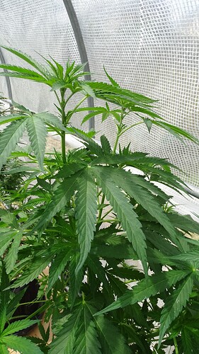 Growreport Bild 10