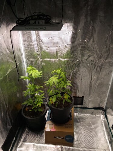 IMG_2025-04-01-22-42-18-068