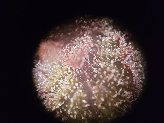 Growreport Bild 11