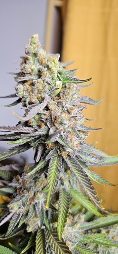 Growreport Bild 10