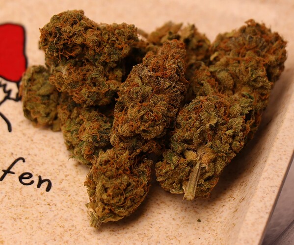 Growreport Bild 55