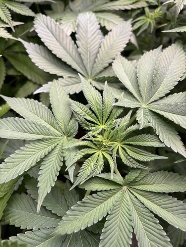 Growreport Bild 15