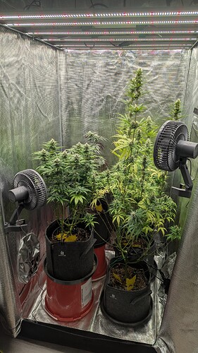 Growreport Bild 2