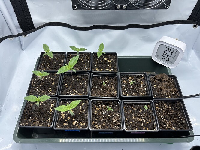 Growreport Bild 3