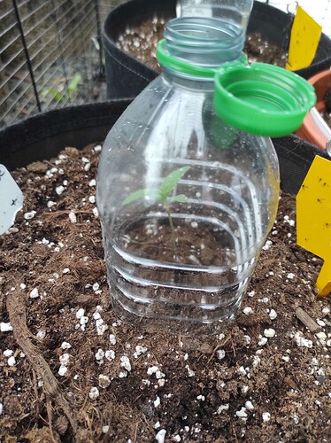 Growreport Bild 1