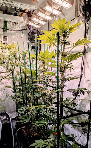 Growreport Bild 11
