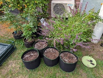 PXL_20250526_171314554