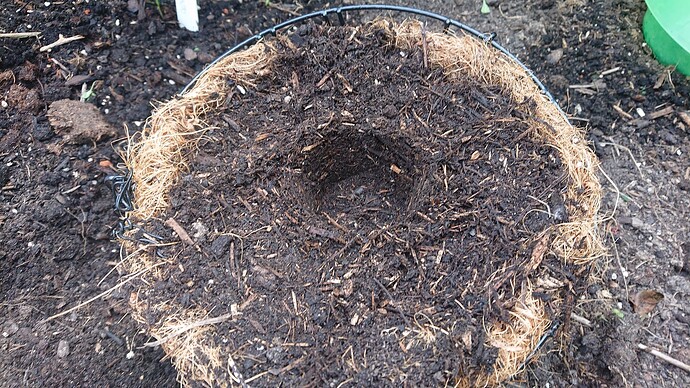 Growreport Bild 39