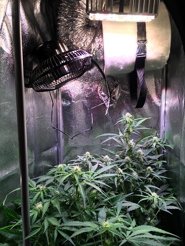 Growreport Bild 6