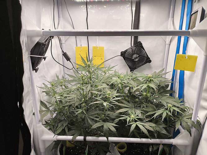 Growreport Bild 4