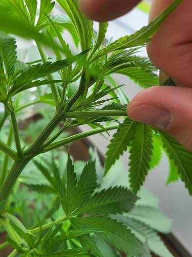 449026769_494796372940492_3073394200895558725_n