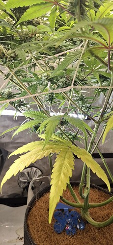 Growreport Bild 8