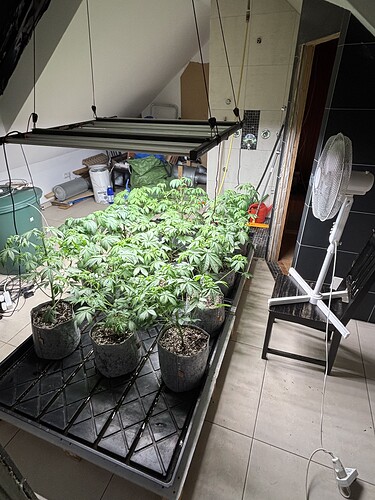 Growreport Bild 13