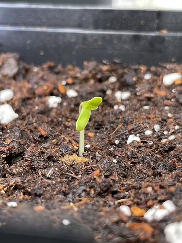 Growreport Bild 8