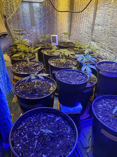 Growreport Bild 10